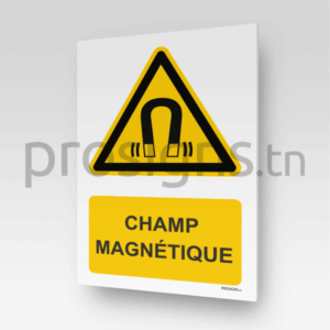 W006m - Champ magnétique