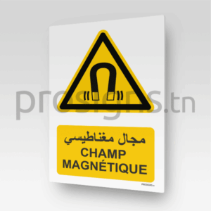 W006mar - Champ magnétique مجال مغناطيسي