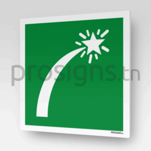 E048 - Signal de détresse sur  embarcation de survie