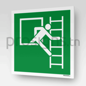 E016R - Fenêtre de secours avec échelle de secours (droite)