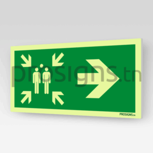 Panneau Photoluminescent / Phosphorescent / ‘Glow-in-the-dark’. PLE007/A90 - Point de rassemblement après évacuation