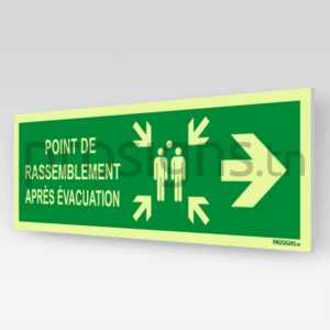 Panneau Photoluminescent / Phosphorescent / ‘Glow-in-the-dark’. PLE007/A90m - Point de rassemblement après évacuation