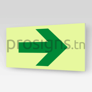 Panneau Photoluminescent / Phosphorescent / ‘Glow-in-the-dark’. HNPLE005/A90 - Flèche de direction